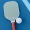 a pickleball paddle board